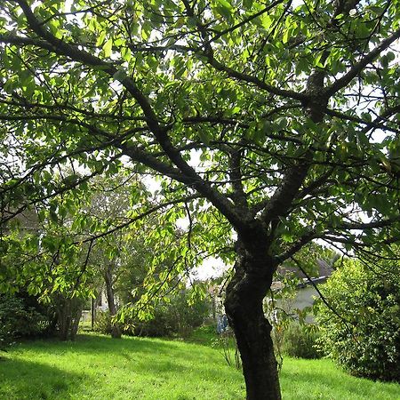 Maison Avec Grand Jardin Pour 15 Couchages En Normandie Cairon Zimmer foto